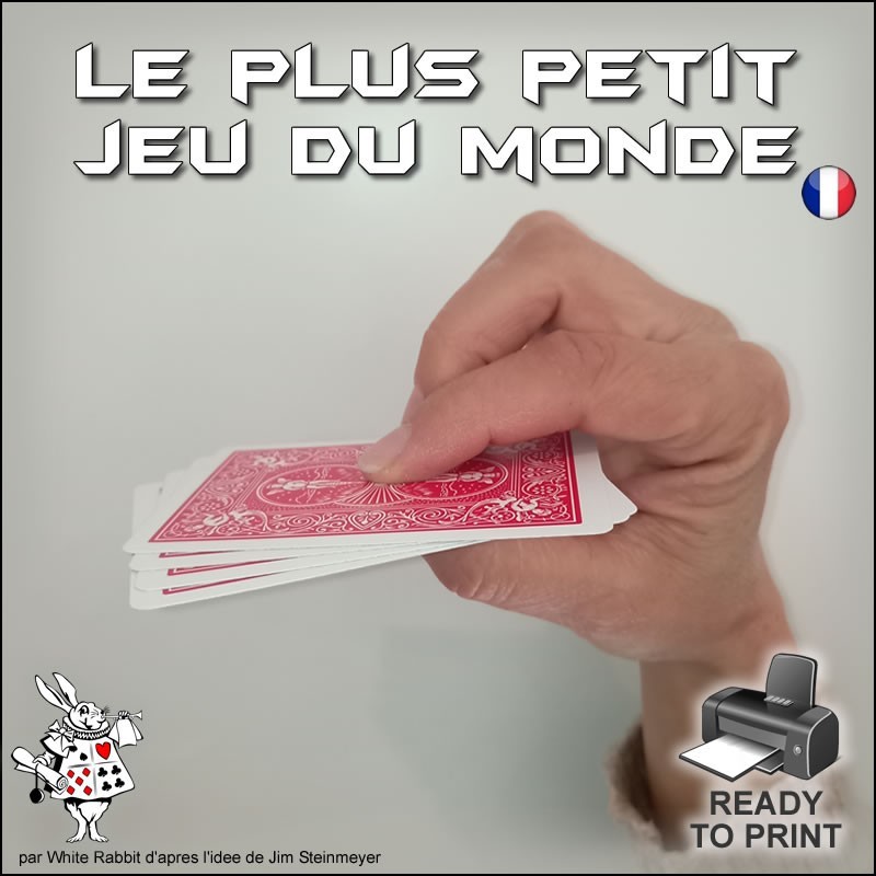 Le plus petit jeu du monde