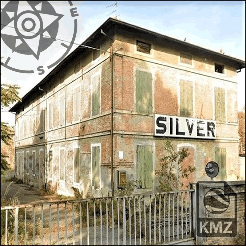 43 - Silver